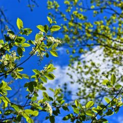 HP公開しました💛