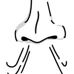 ディフューザーが効かない（匂わない）