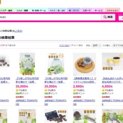 ヤマダモールで出店決定🙌