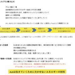 アミノレブリン酸（ＡＬＡ）その２！！
