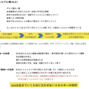 アミノレブリン酸(ALA)その2!!