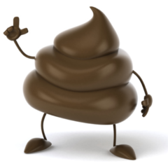 うんち💩の話（小腸の残骸が１/３）