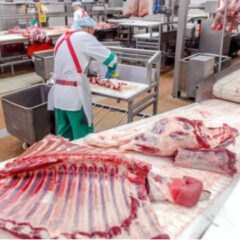 お肉屋さんもニオイが無くなった😁