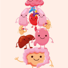 腸は第二の脳⁉第一の脳🤔