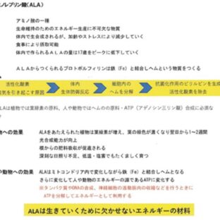 アミノレブリン酸(5-ALA)その3