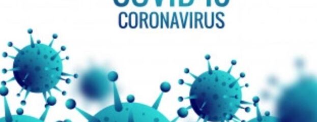 HEALBO免疫力！コロナ対策