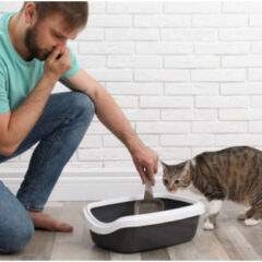 ペットのうんち💩の臭いがしなくなる😊