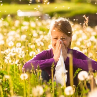 花粉到来&撃退方法🐽👀