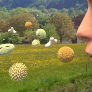 花粉症っていつから？